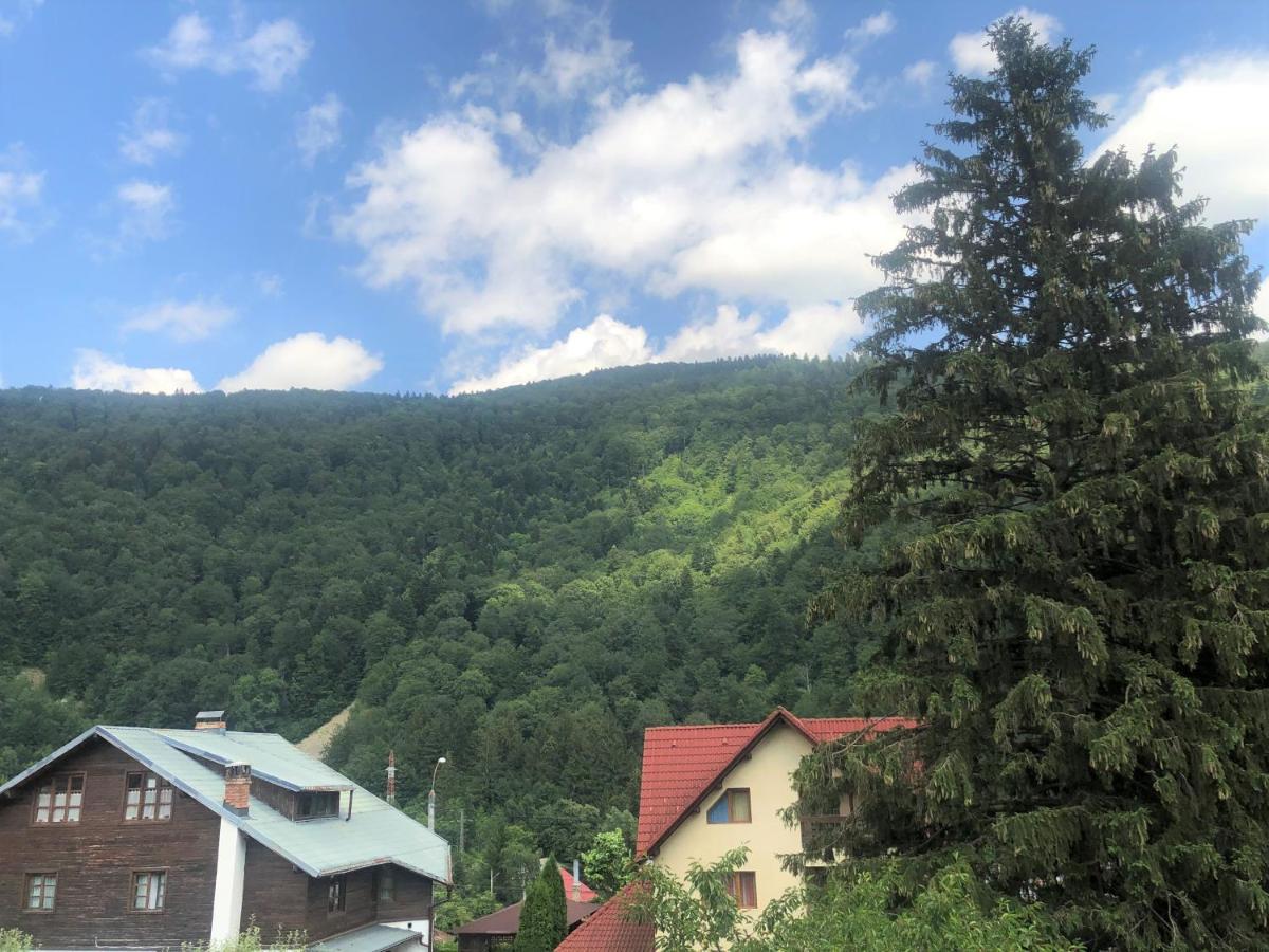 Holiday Home In Sinaia Eksteriør billede